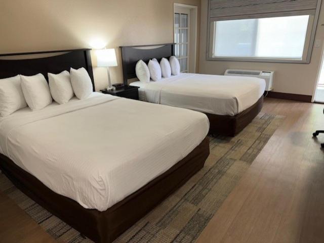 Stanford Inn & Suites Anaheim Luaran gambar